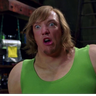 shaggy69707