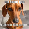 DEBOXX_ST