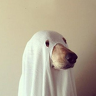 slack_mac
