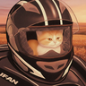 Monekx