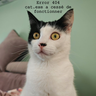 JeanYves60