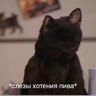 Swynomatka