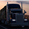 CatinTruck