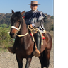 AlvaroChile21