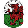 Welshman_501