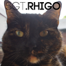 rhigosrebel